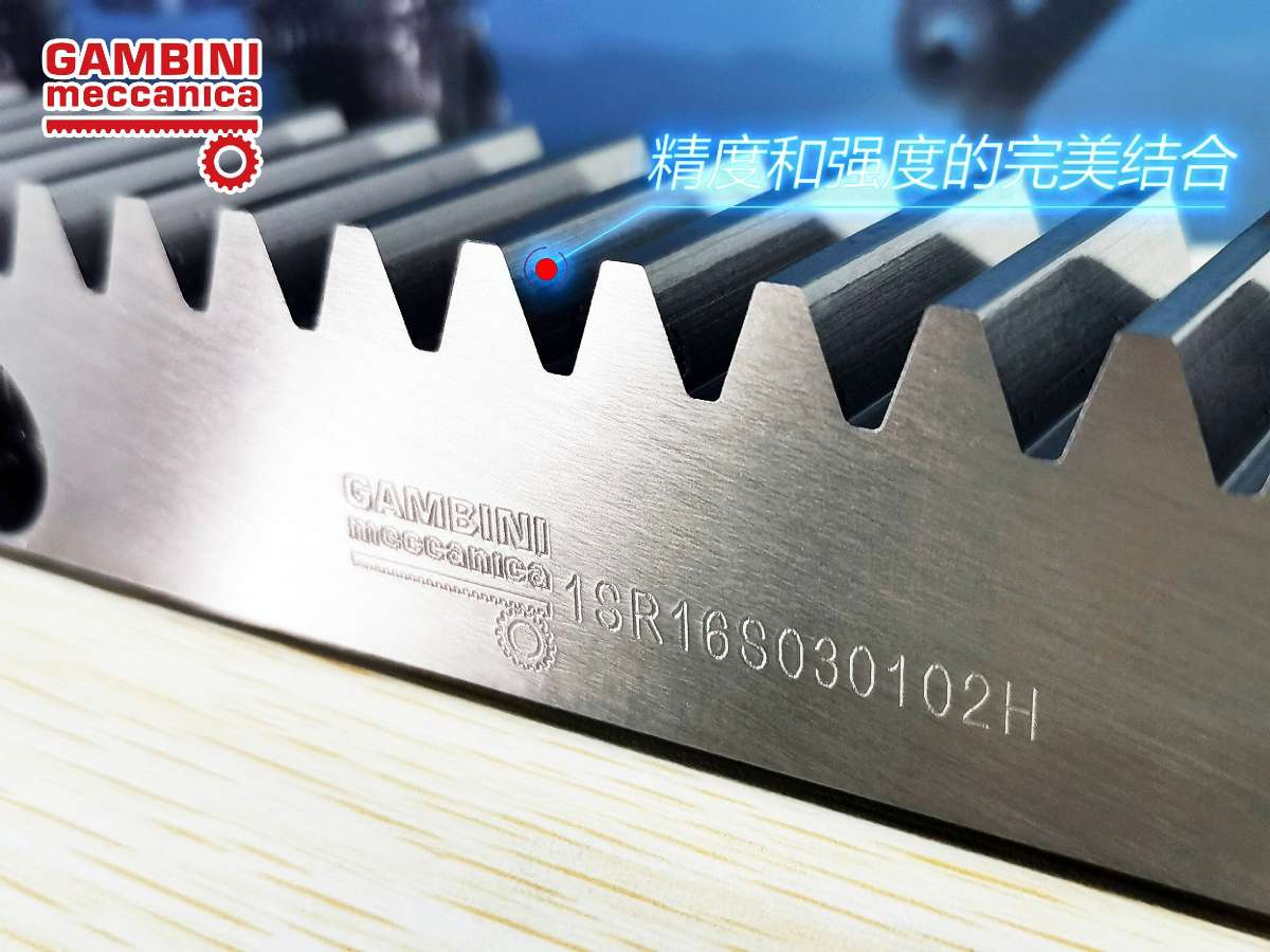 意大利Gambini进口齿轮齿条